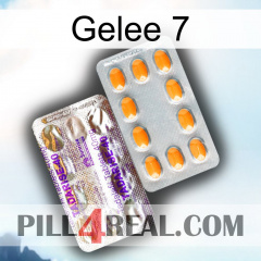 Jelly 7 new12